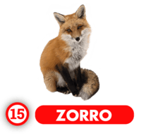 15 ZORRO