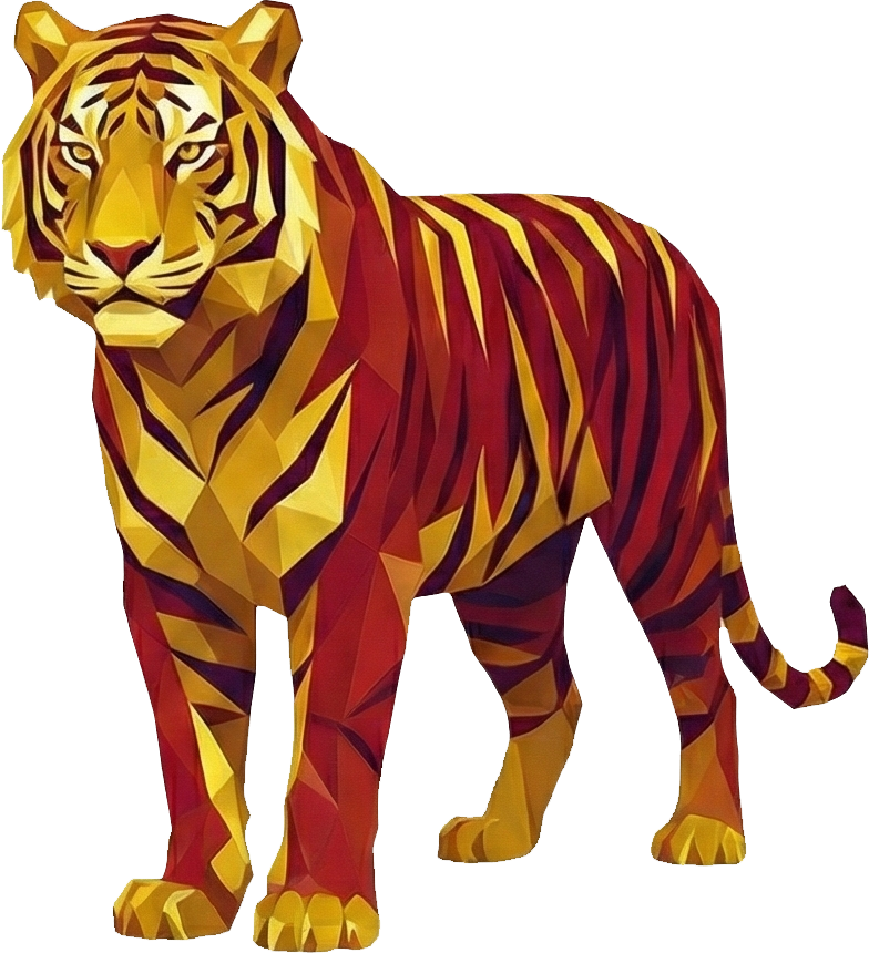 10 TIGRE