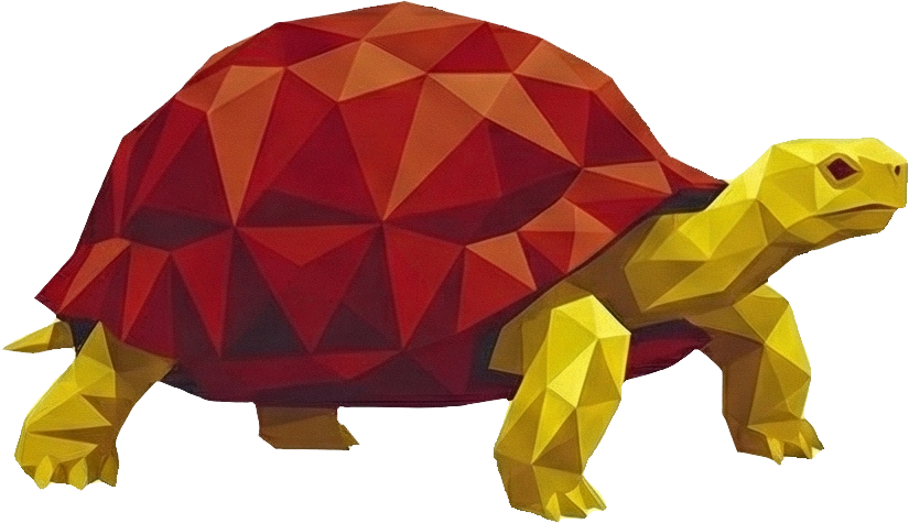 37 TORTUGA