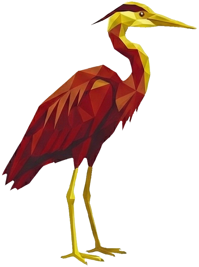 45 GARZA