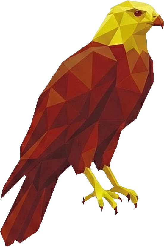 64 GAVILÁN