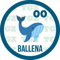 00 BALLENA
