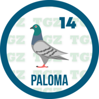 14 PALOMA