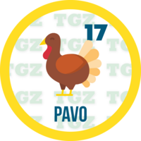 Gatazo — 17 PAVO