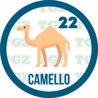 22 CAMELLO