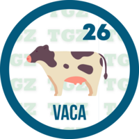 26 VACA