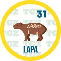 Gatazo — 31 LAPA