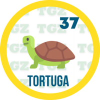 Gatazo — 37 TORTUGA