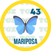 43 MARIPOSA