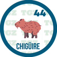 44 CHIGUIRE