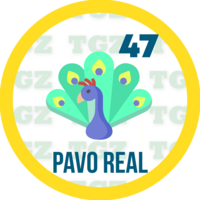 47 PAVO REAL