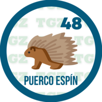 Puercoespín