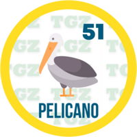 51 PELICANO