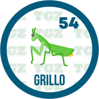 54 GRILLO