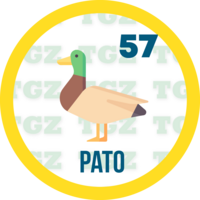 57 PATO