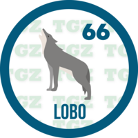 Lobo