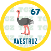 Avestruz
