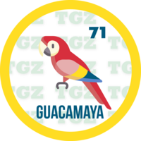 71 GUACAMAYA