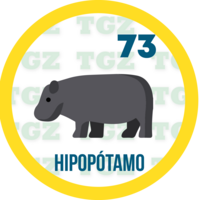 Hipopótamo
