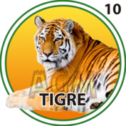 10 TIGRE