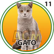 11 GATO