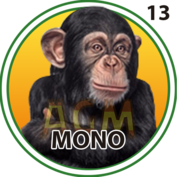 13 MONO