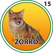 15 ZORRO