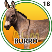 18 BURRO