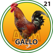 21 GALLO