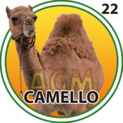 Granja Millonaria - Granjazo — 22 Camello