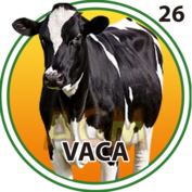 26 VACA