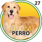 27 PERRO