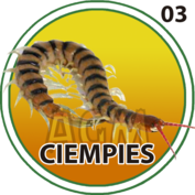 3 CIENPIES