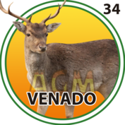 34 VENADO