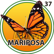 Granja Millonaria - Granjazo — 37 Mariposa