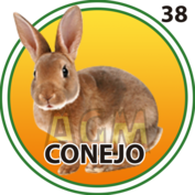 38 CONEJO