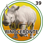 39 RINOCERONTE