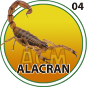 4 ALACRÁN