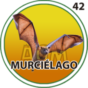 42 MURCIELAGO