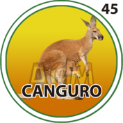 45 CANGURO