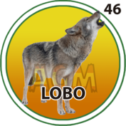 46 LOBO