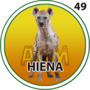 49 HIENA