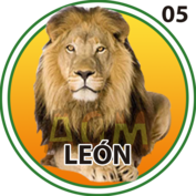 5 LEÓN