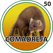 50 COMADREJA