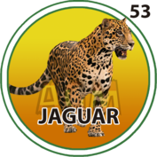 Granja Millonaria - Granjazo — 53 Jaguar