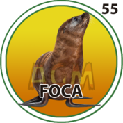 55 FOCA