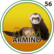 Granja Millonaria - Granjazo — 56 armiño