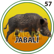 Granja Millonaria - Granjazo — 57 Jabali