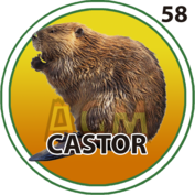 58 CASTOR
