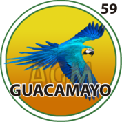 59 GUACAMAYO